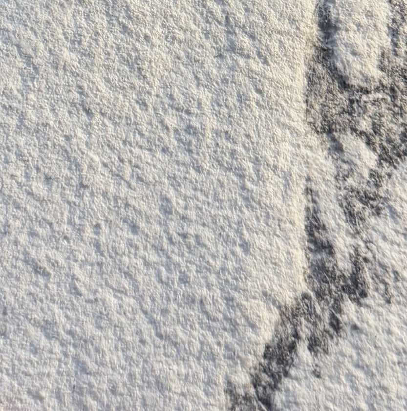 Bianco Artico - PregioPietra